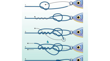 Schritt-für-Schritt Angelknoten Anleitung: Rapala-Knoten binden für den perfekten Köderknoten am Kunstköder.