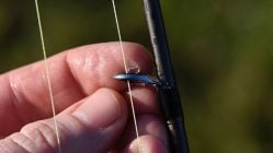 rutenring-angeln-eisfrei