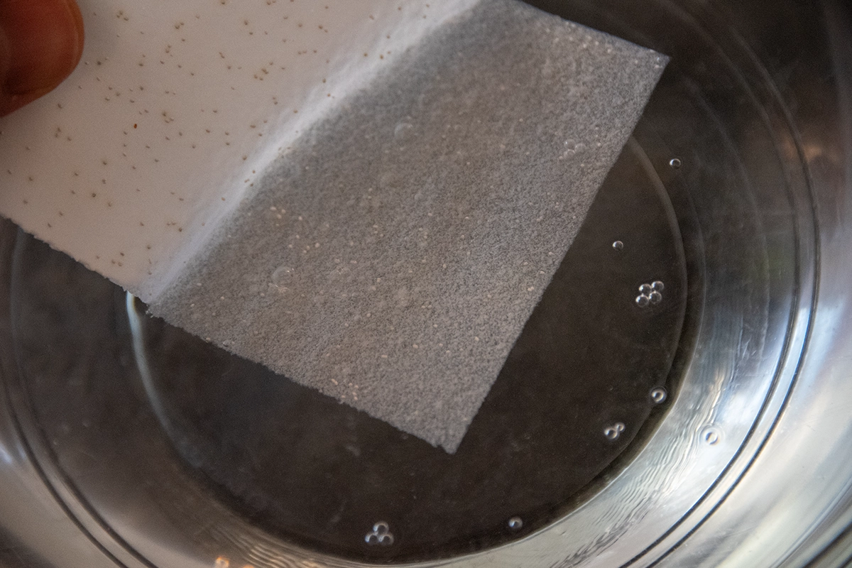 Mothers Earth im Wasser